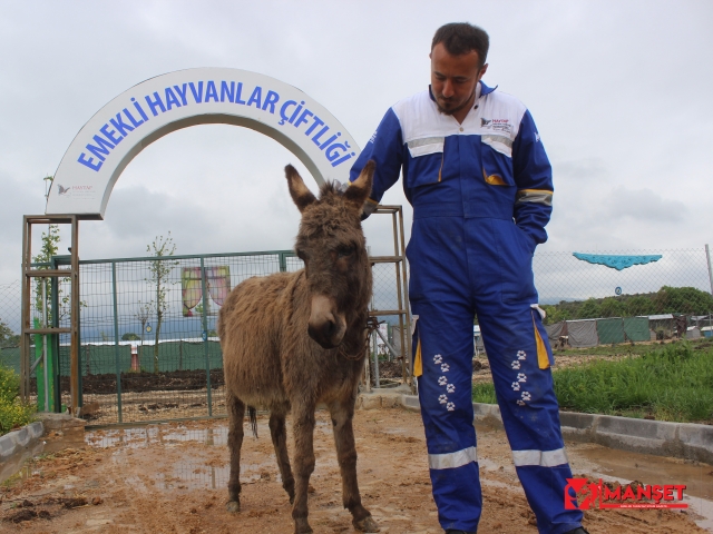 O eşeğe koruma...