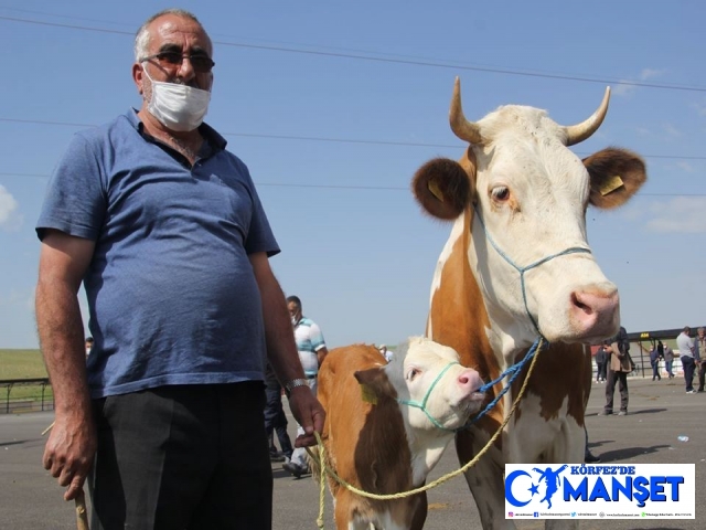 Kurban tedbirleri açıklandı