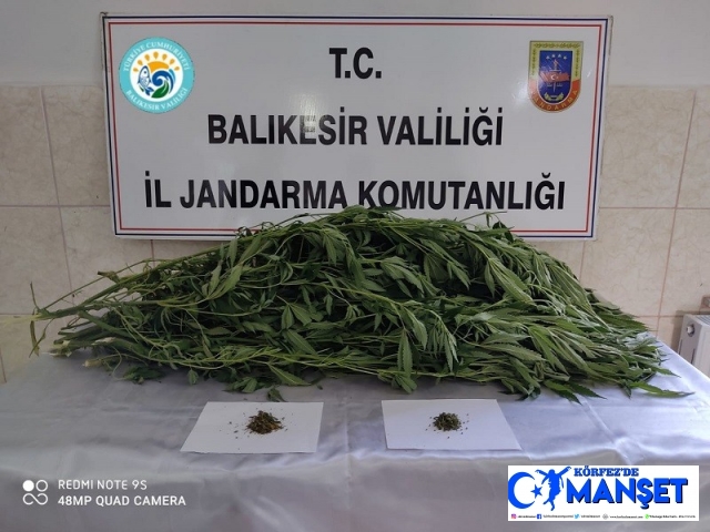 Balıkesir’de 27 kök kenevir ve 12 gram kubar esrar ele geçirildi