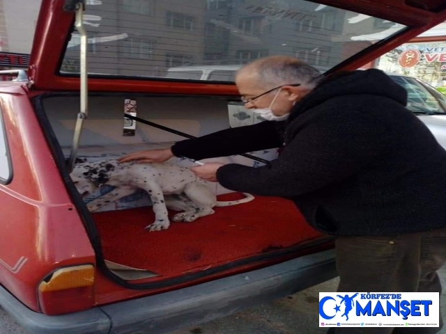 Zehirlenen köpeğin imdadına çocuklar yetişti