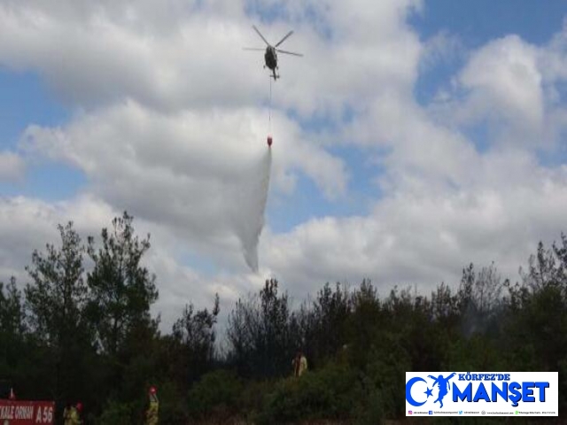 Çanakkale'de orman yangını; 2 saatte kontrol altında