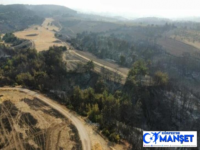 Çanakkale'deki orman yangınında 2'nci gün