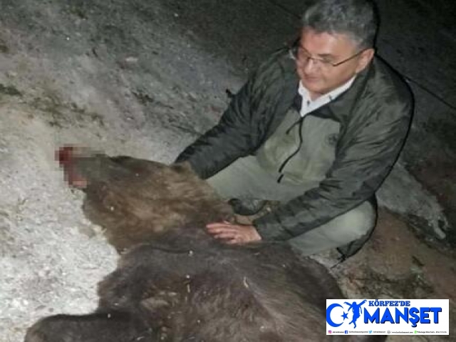 TIR’ın çarptığı ayının ölümüne üzülen ormancı o anları sosyal medyadan paylaştı