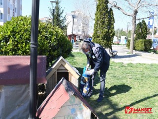 Büyükşehir'den sokak hayvanlarına mama dağıtımı