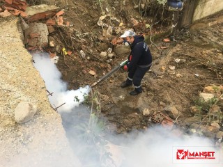 Burhaniye’de sivrisinek mücadelesi devam ediyor