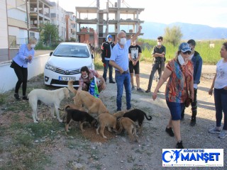 Hayvansevere yapılan sözlü saldırı büyük tepki çekti