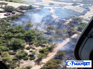 Çanakkale'de orman yangını