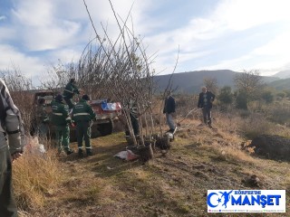 Ayvalık’ta dört kurum “Yeşil Adımlar” için bir araya geldi