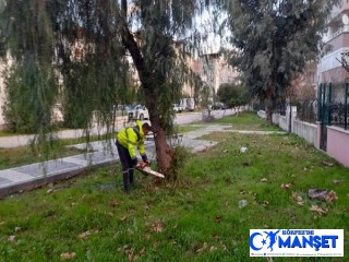 PARK VE YEŞİL ALANLARDA BUDAMA YAPILIYOR