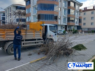 KARESİ’DE AĞAÇ BAKIMLARI SÜRÜYOR