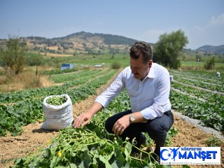 Kornişon Salatası binlerce aileye ekmek kapısı oldu 