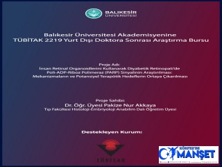 Balıkesir Üniversitesi akademisyenine TÜBİTAK 2219 Yurt Dışı Doktora Sonrası Araştırma Bursu